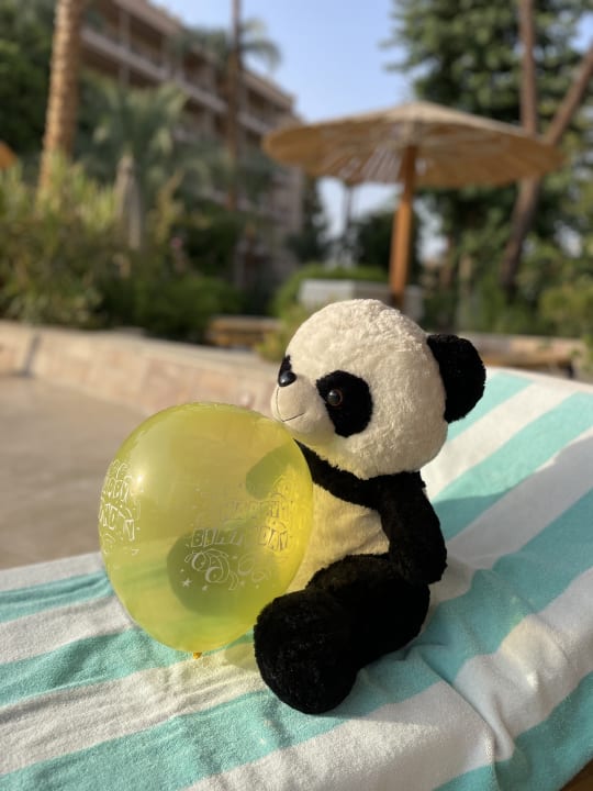 Pool Sofitel Winter Palace Luxor & Pavillon Winter Luxor