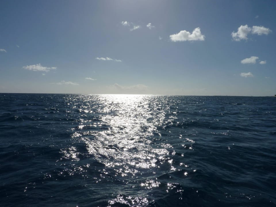 Ausblick aus dem Boot Hilton Mauritius Resort & Spa