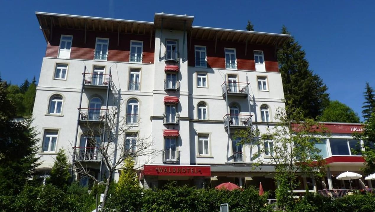 Summer holiday Waldhotel am Notschreipass