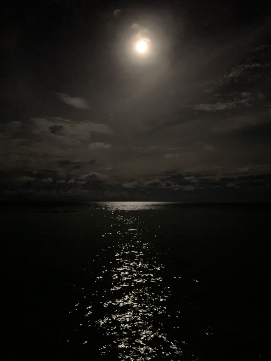 Ausblick Summer Island Maldives