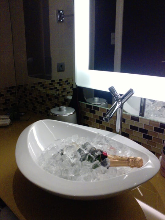 Bad Hilton Frankfurt Airport