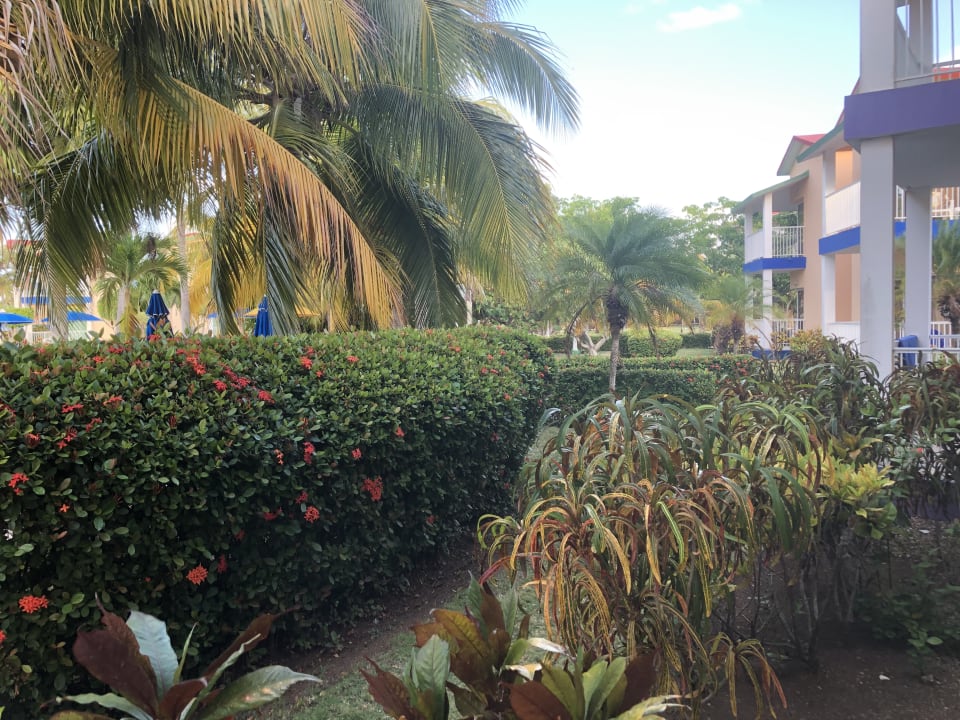 Außenansicht Iberostar Origin Taínos