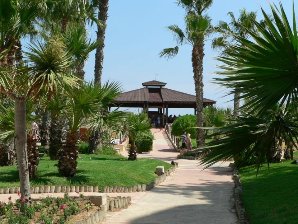 Walk to the Pool Sahara Beach Aquapark & Resort