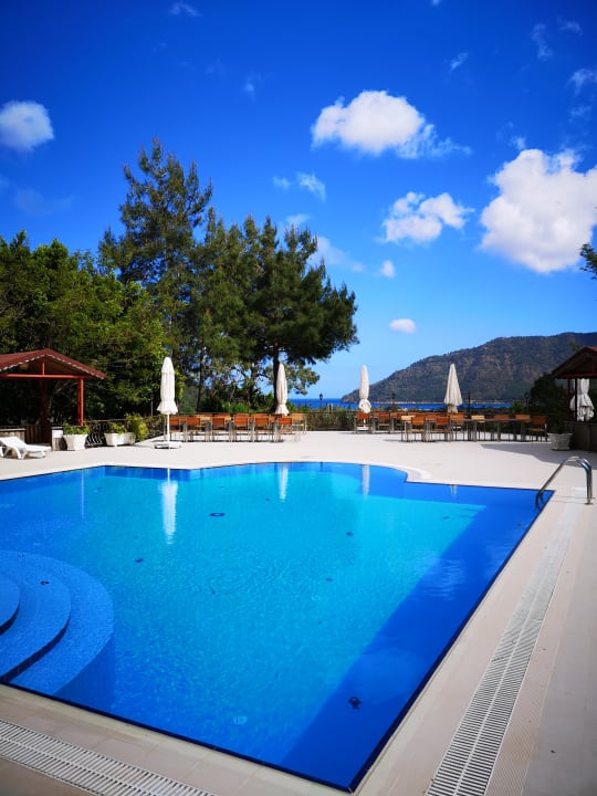 Pool LYKIA lodge | home of happiness