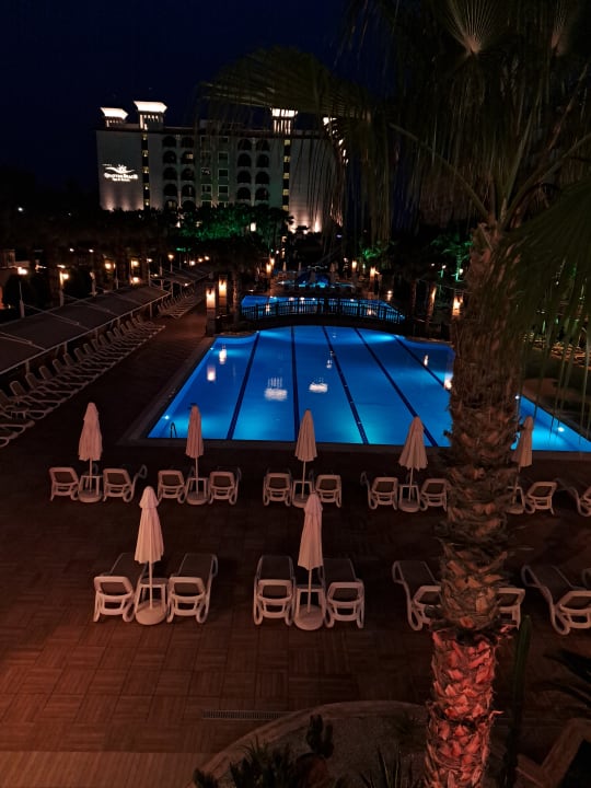 Pool Dizalya Palm Garden