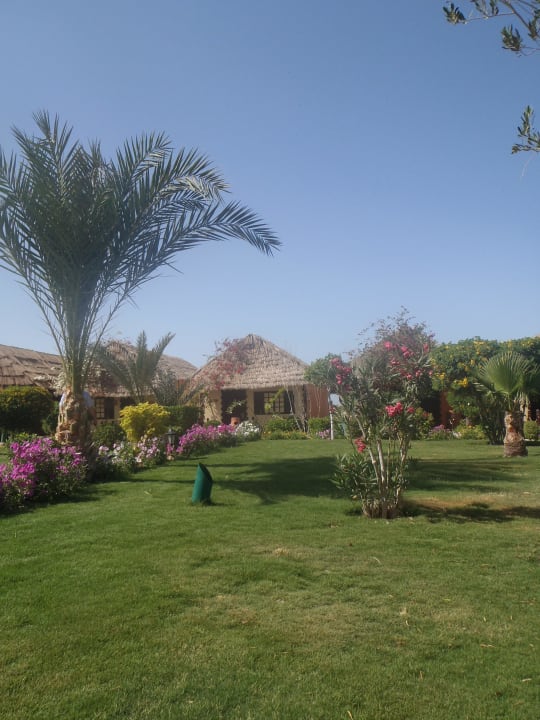 The garden Panorama Bungalows Resort El Gouna