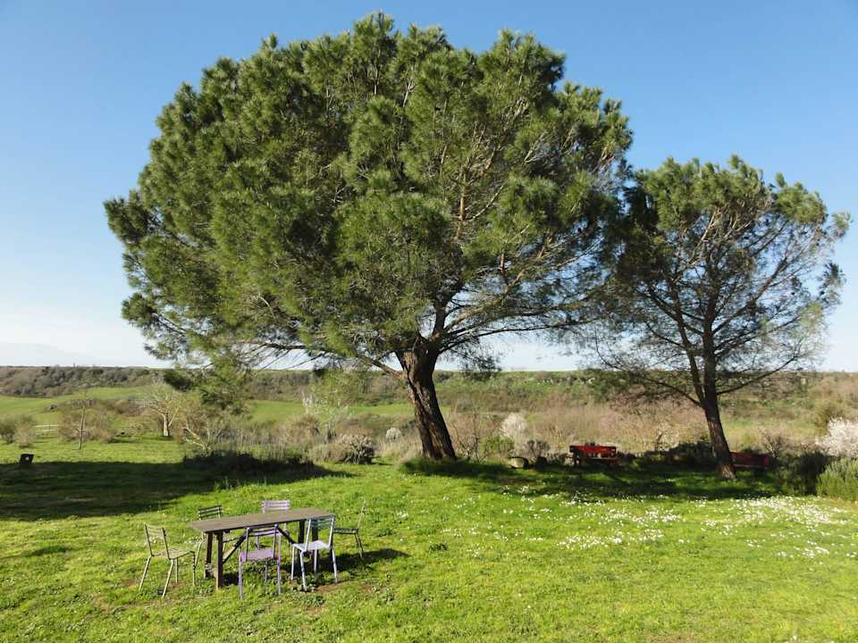 Vor dem Haus Casa Caponetti