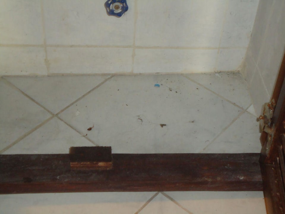 Kot im Schrank unter dem Waschbecken Hotel Sir William's