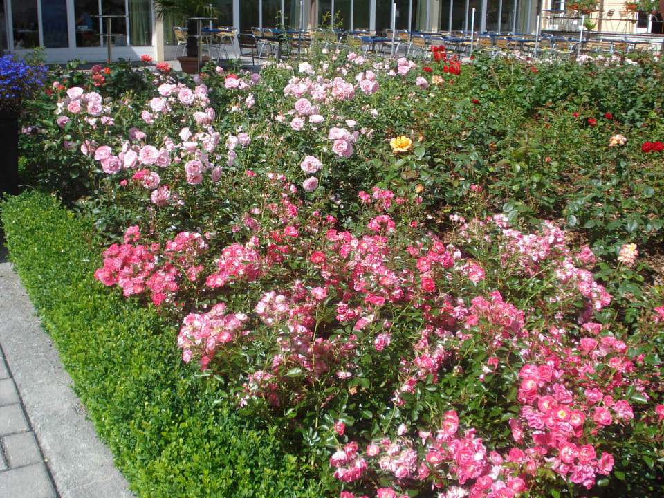 Rosengarten Victoria Lauberhorn Wengen, a Faern Collection Hotel