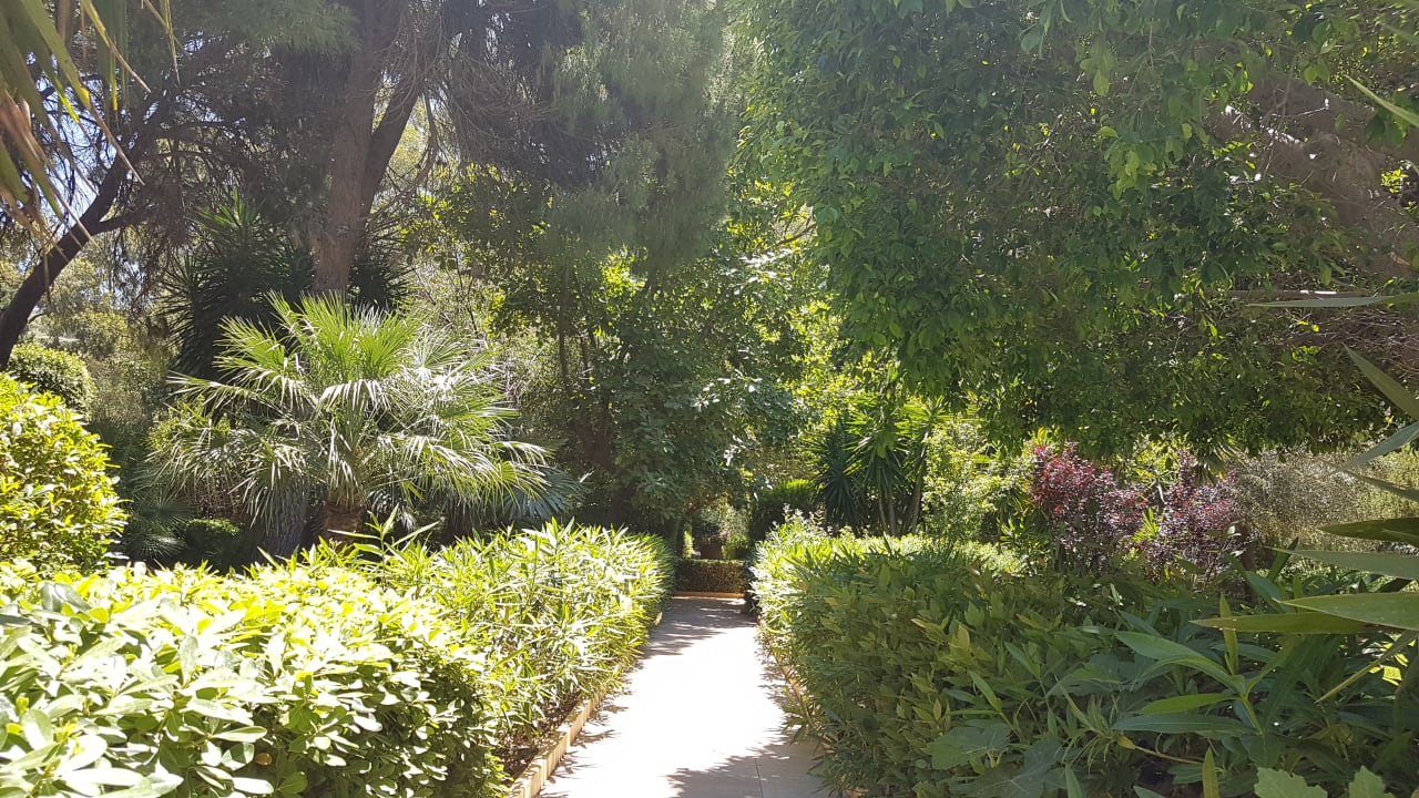 Gartenanlage Dionysos Hotel