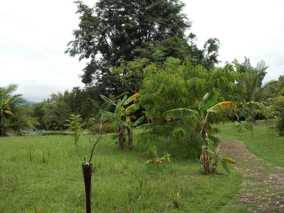 (Romantische) Gartenanlage Hotel Nagahill Resort