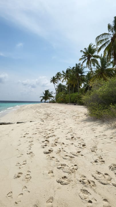 Strand Filitheyo Island Resort
