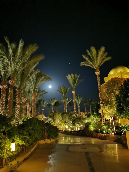 Gartenanlage Makadi Spa - Adults only