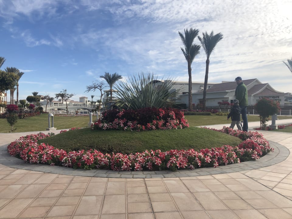 Gartenanlage Pickalbatros Dana Beach Resort - Hurghada
