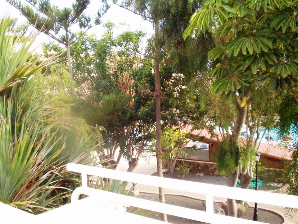 Zimmeraussicht Playa Park Zensation