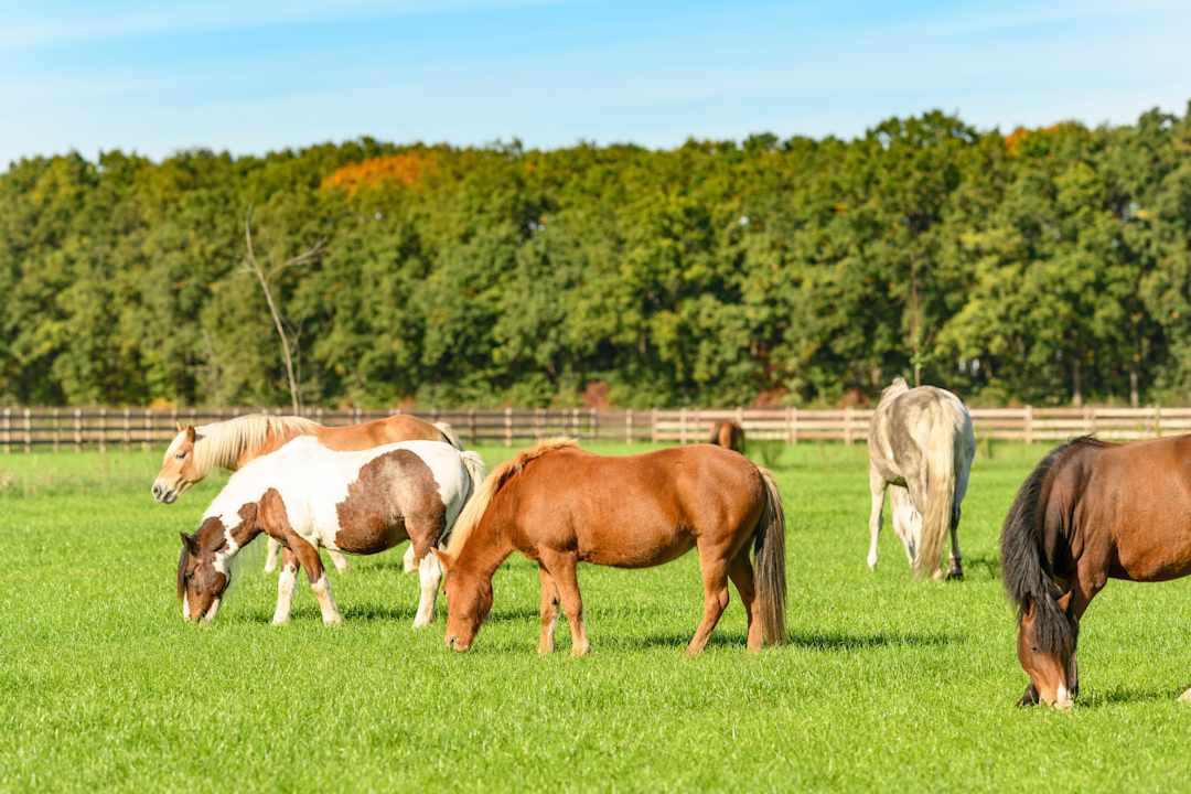 Sport & Freizeit De Smulhoeve