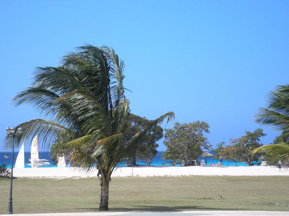 Blick auf den Strand Hotel Playa Pesquero