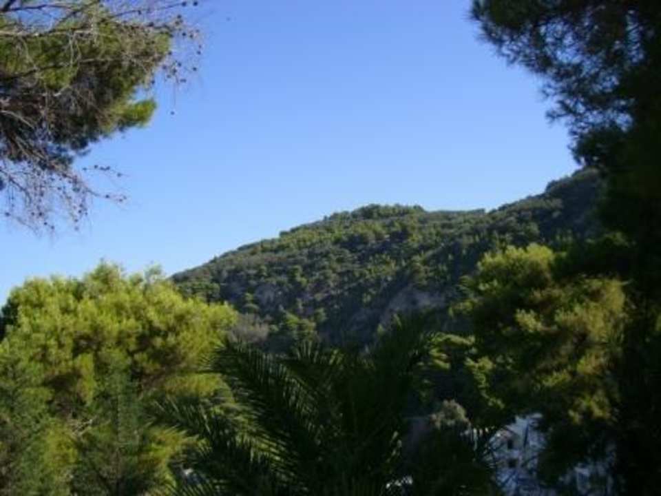 Typische Aussicht vom Hotel Hotel Ambiente Palace