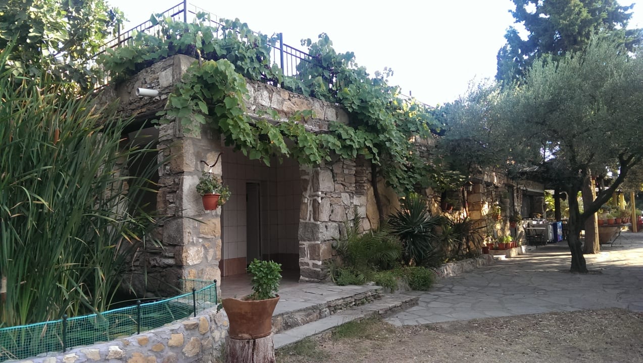 Gartenanlage Hotel Geranion Village