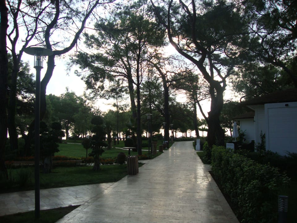 C-Bereich Nirvana Mediterranean Excellence