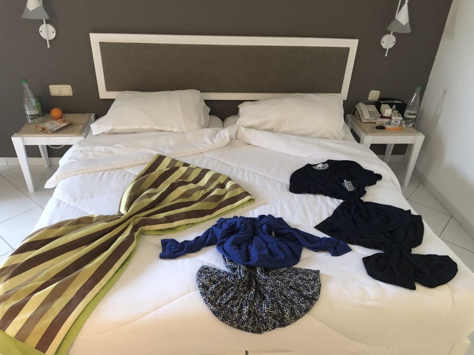 Zimmer Club Salammbô Hammamet