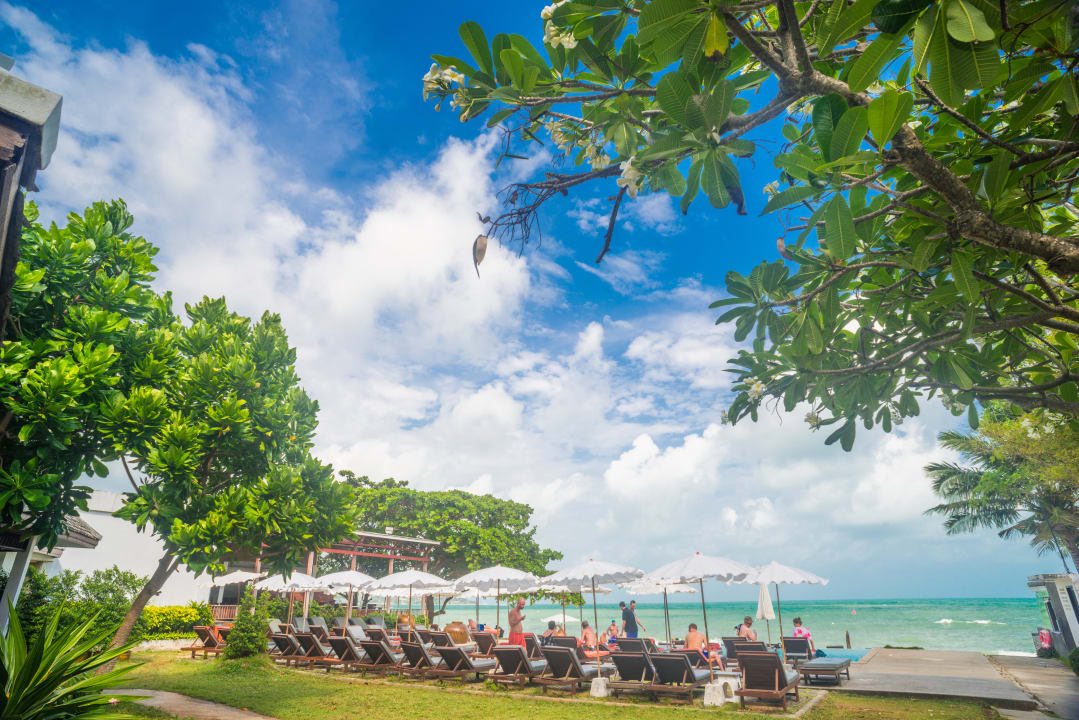 Außenansicht Lamai Wanta Beach Resort