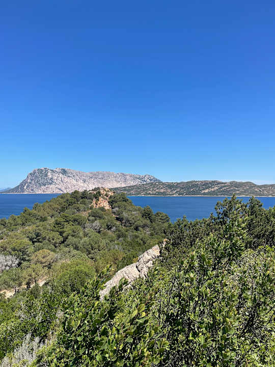 Sonstiges Hotel Fenicottero Rosa