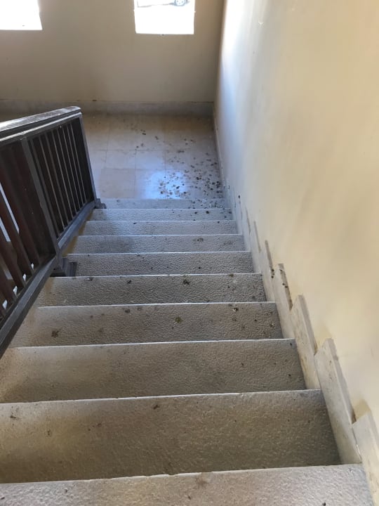 Außenansicht Marina Resort Port Ghalib, a member of Radisson Individuals