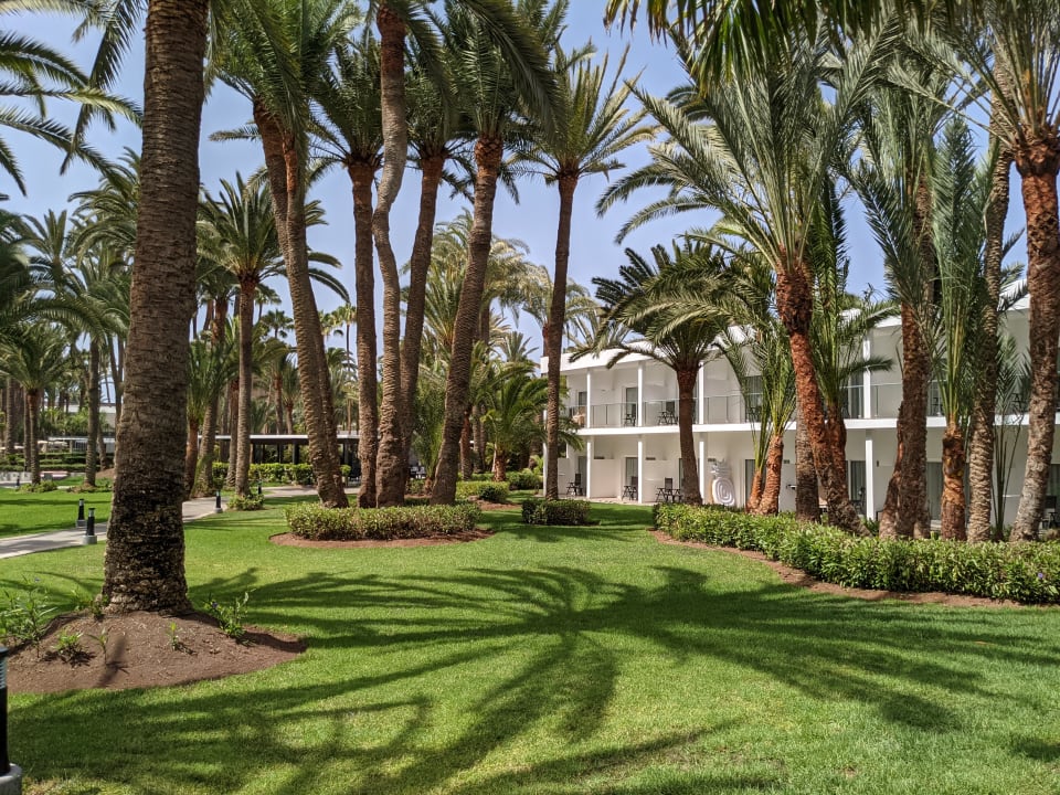 Gartenanlage Hotel Riu Palace Oasis