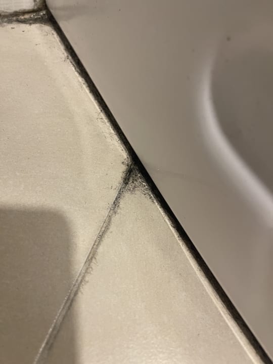 Zimmer Kamelya Aishen Club