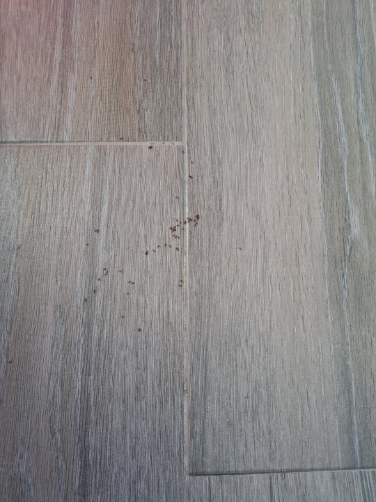 Sonstiges Alcudia Garden Aparthotel