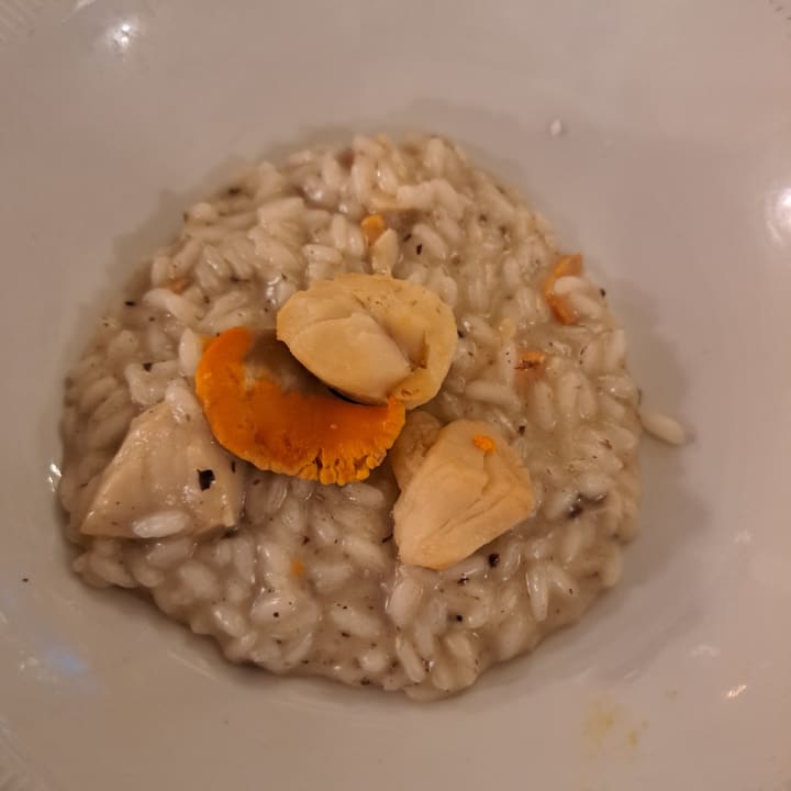 Gastro Hotel Ariston Molino