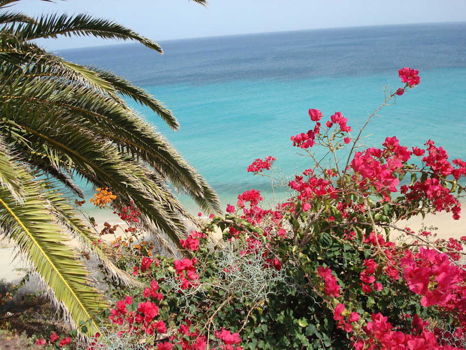 Der Blick aufs Meer SBH Club Paraiso Playa