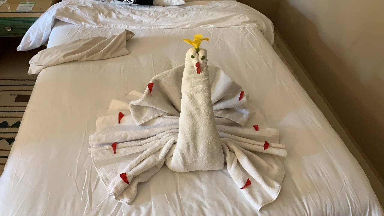 Zimmer Regina Resort and Aqua Park Hurghada