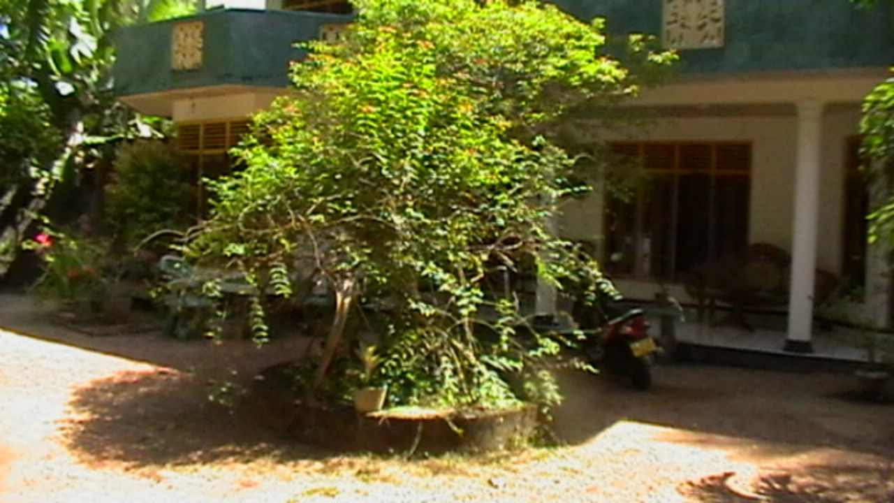 Außenansicht Sunshine Guesthouse