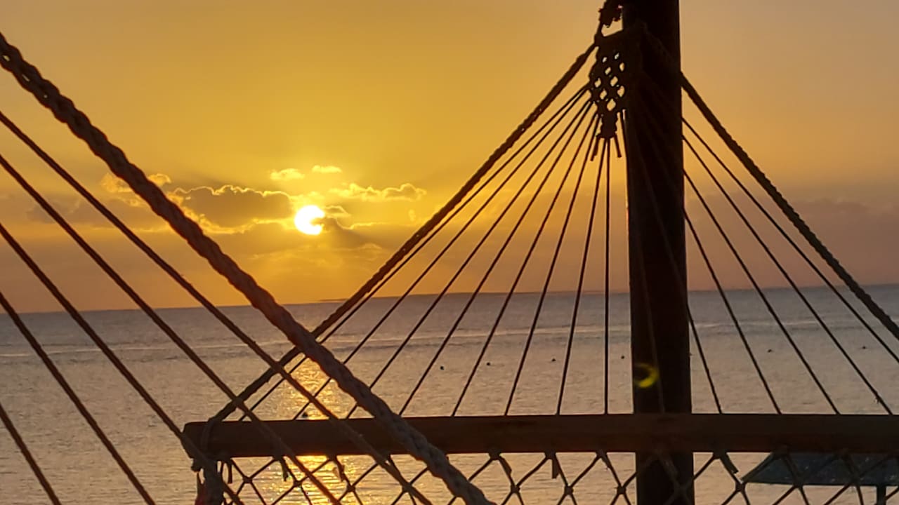 Sonstiges Hotel Gorgonia Beach Resort