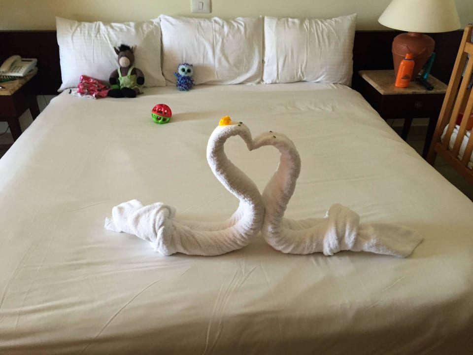 Zimmer 5004 Malikia Resort Abu Dabbab