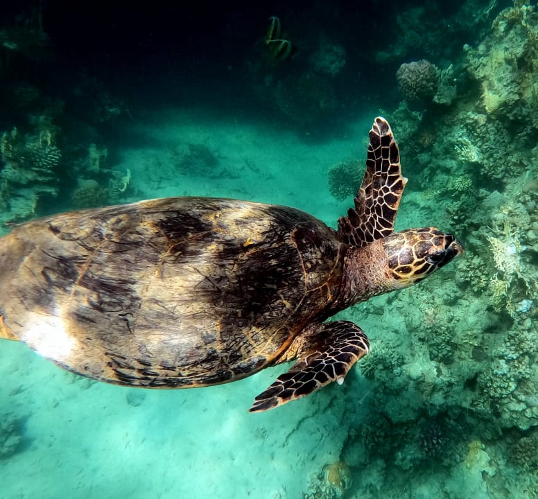 Sport & Freizeit Brayka Bay Resort