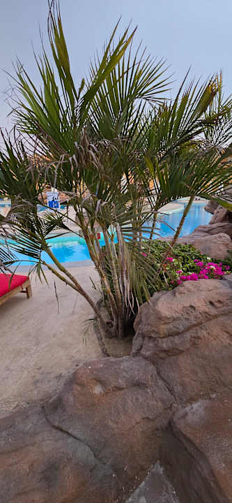 Gartenanlage Stella Beach Resort & Spa Makadi Bay