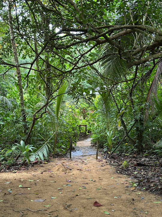 Gartenanlage S Boutique Hotel