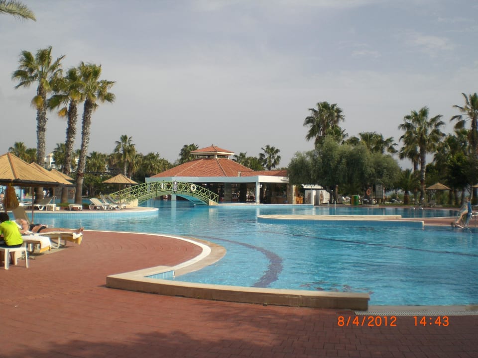 Pool mit Poolbar Hotel Defne Star