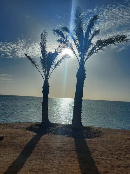 Gartenanlage Continental Hotel Hurghada