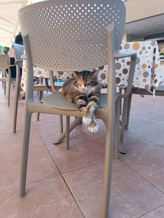 Sonstiges Hotel Victory Resort