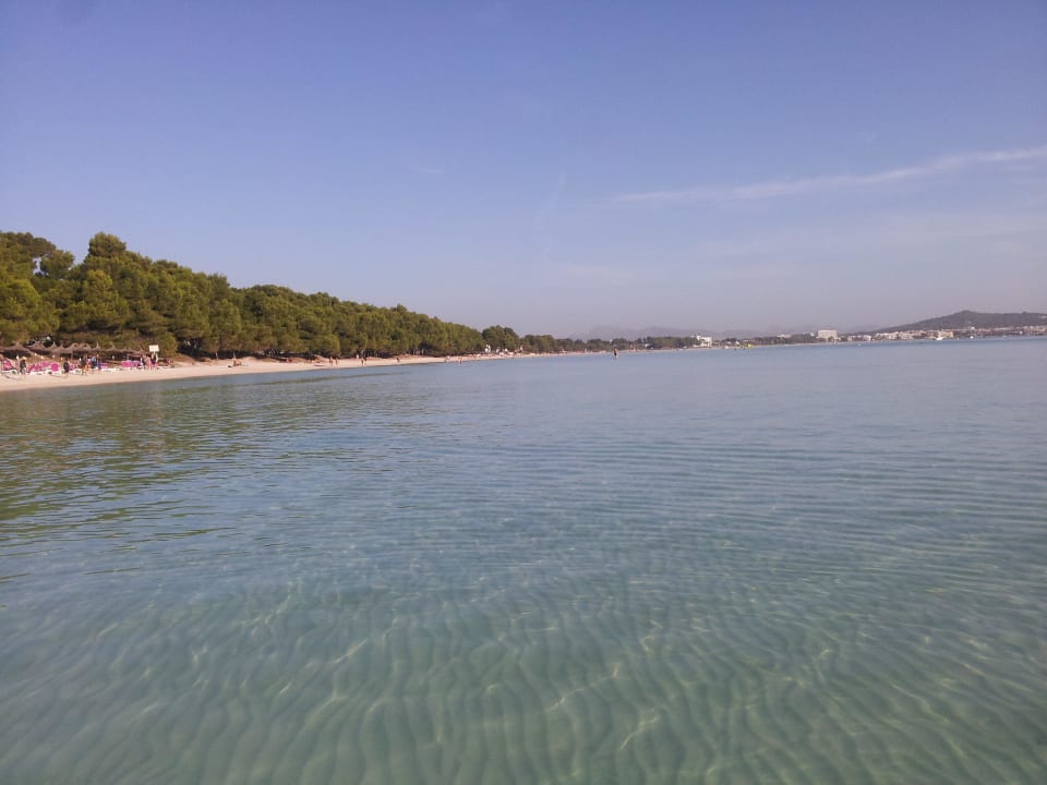 Traumhaft schön und ganz flach Aparthotel Ivory Playa