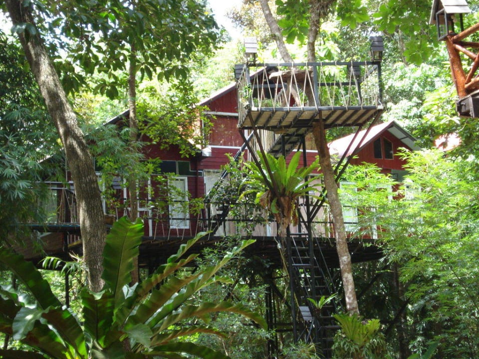 Tree House Resort Treehouse Resort