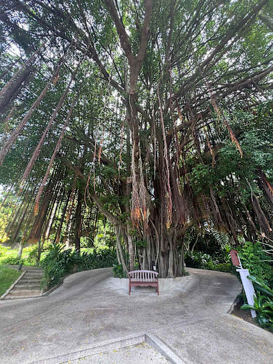 Gartenanlage Sheraton Samui Resort
