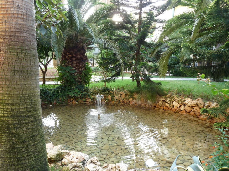 Garten des Hotels Meryan Hotel Meryan