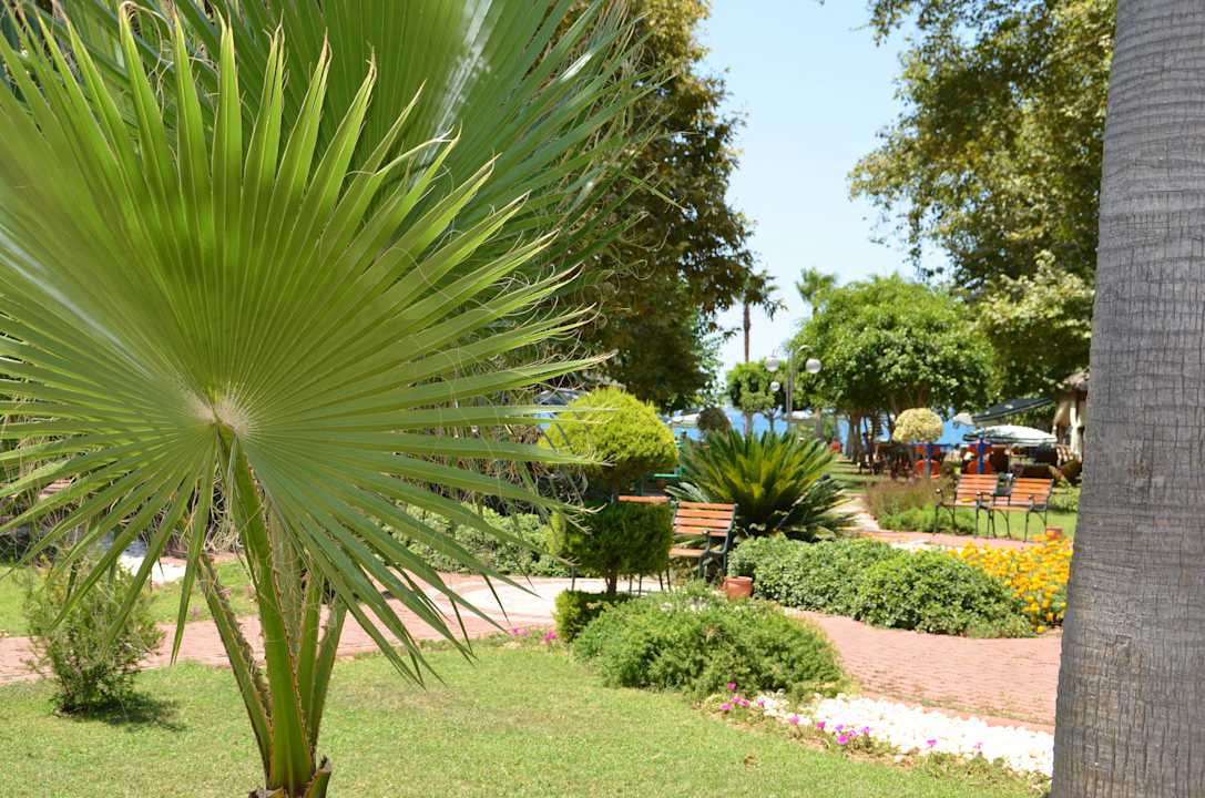 Gartenanlage Lonicera Resort & Spa Hotel