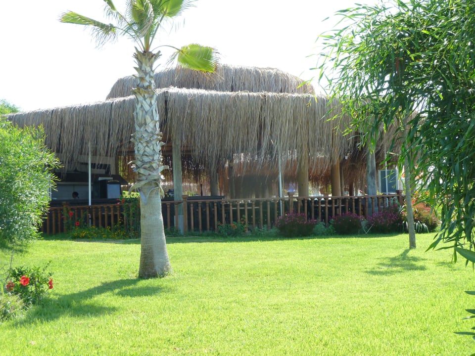 Snackbar und Fischrestaurant - lecker Flora Garden Beach Hotel ( 16+ Adults Only )