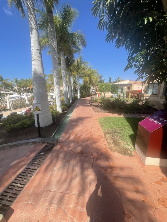 Gartenanlage allsun Hotel Esplendido